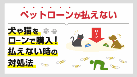 ペットローンが払えない…犬や猫をローンで購入したけどお金がない時の対処法