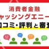 キャッシングエニーのローンに関する口コミ・評判と審査